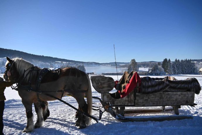 calèche des chauvins-hiver