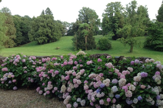 parc-et-hortensias