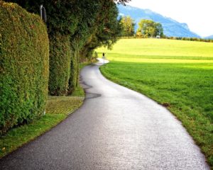 path-976703_1280