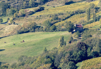 Les Billardes – Chambres d’hôtes