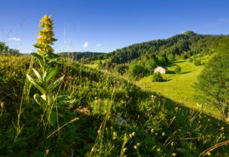 Borne au Lion et Cret de Chalam