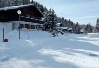 Appartement dans chalet – P401COU00