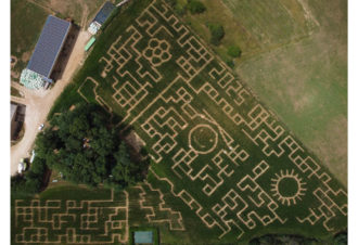 Labyrinthe de Maïs