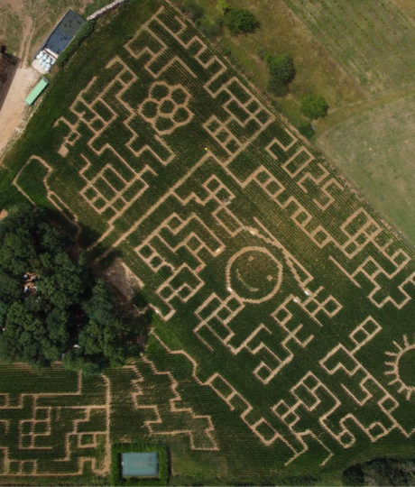 Labyrinthe de Maïs
