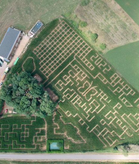 Labyrinthe de Maïs