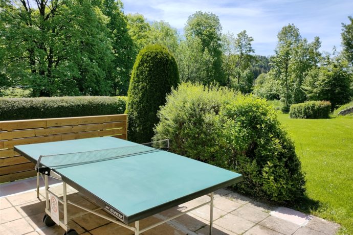 Table de ping-pong
