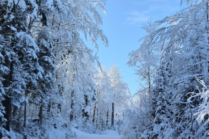 pistes de ski de fond