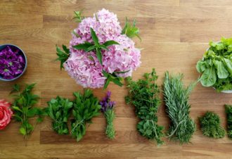 La Reine des Prés – Balade & Ateliers