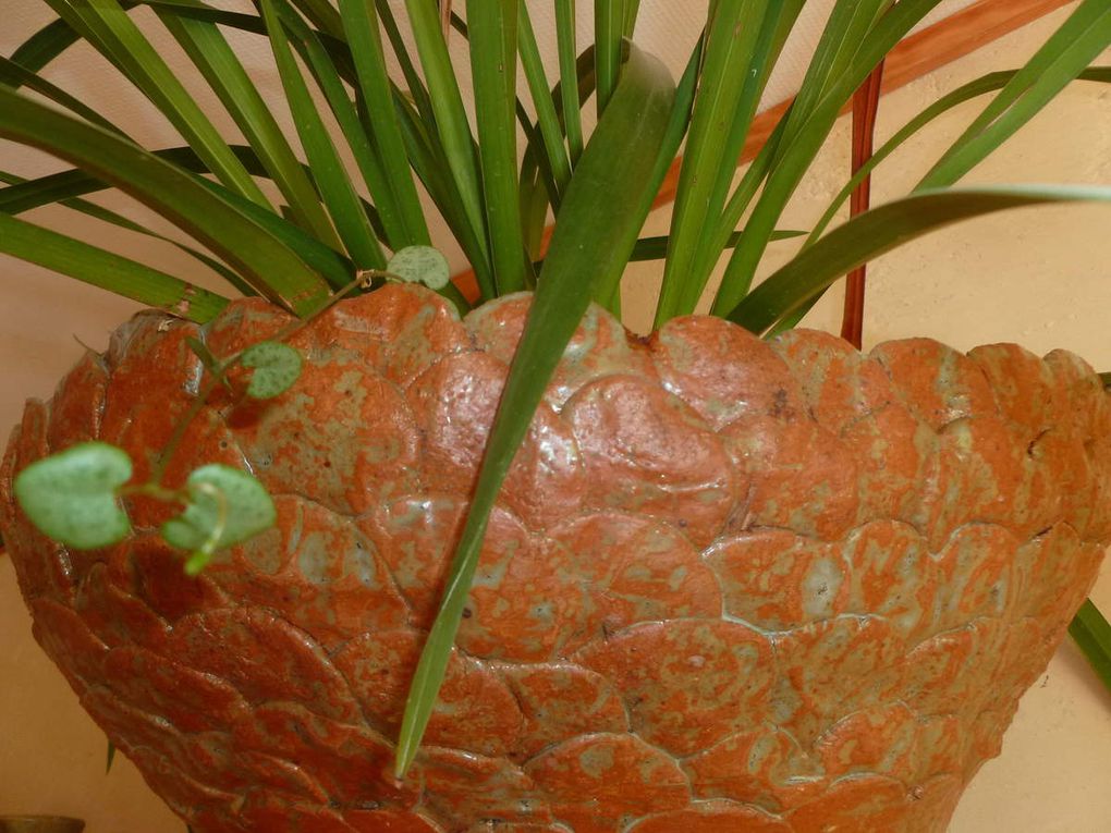 L’Atelier du Grain d’Argile