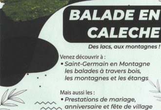 Balade en calèche des lacs, aux montagnes !