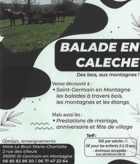 Balade en calèche des lacs, aux montagnes !