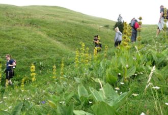 Aventures au naturel dans le Haut-Jura