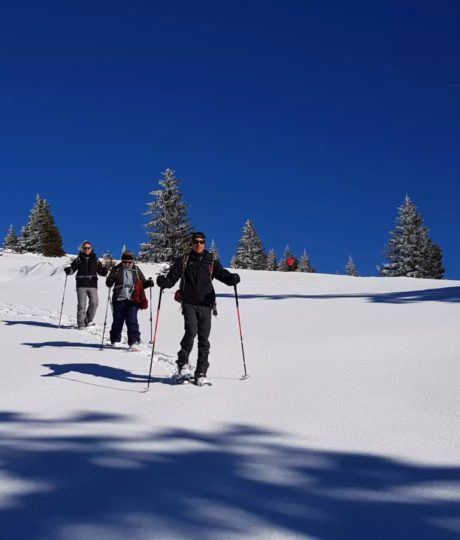 Randocontes – L. Lalouette et D. Lauper