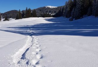 Randocontes – L. Lalouette et D. Lauper