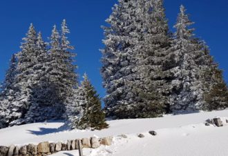 Randocontes – L. Lalouette et D. Lauper