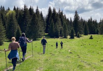 Sentiers Libres – Rémi Basmaji