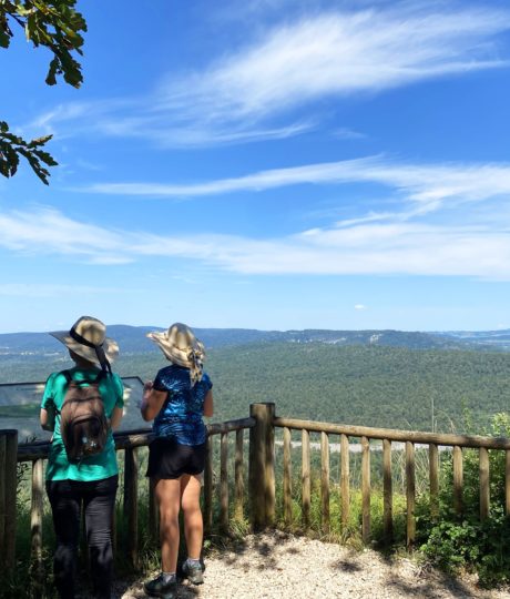 Belvédère du Surmont