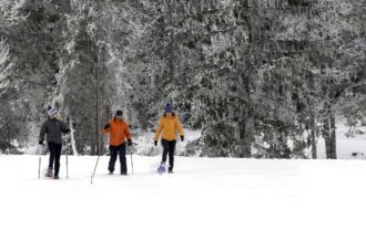 Raquettes – Bois du Croz