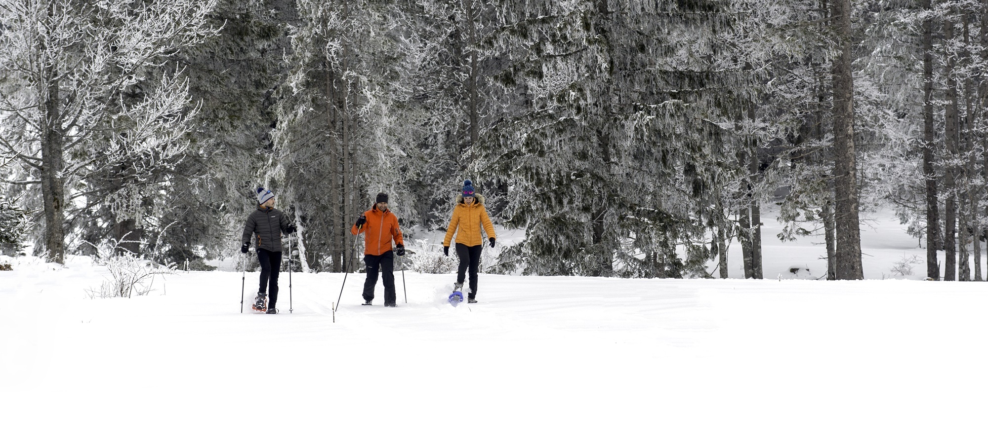 Raquettes – Bois du Croz