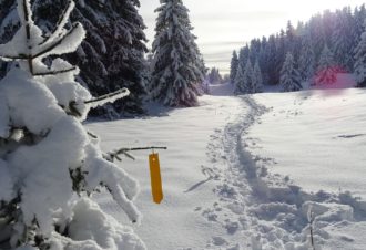 Raquettes – Nicolas Vannier