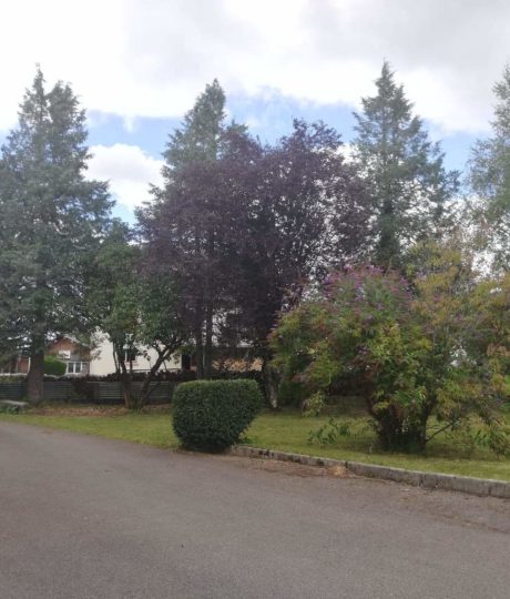 L’Atelier de Désiré