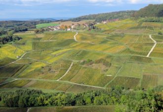 Belvédère des Roches