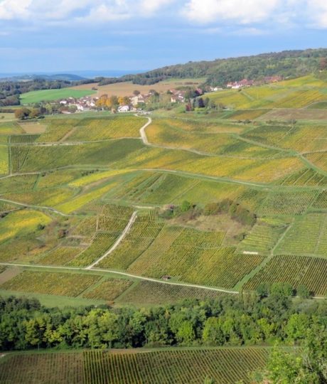 Belvédère des Roches