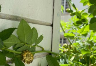 L’APPARTEMENT by Merveilles de Marie