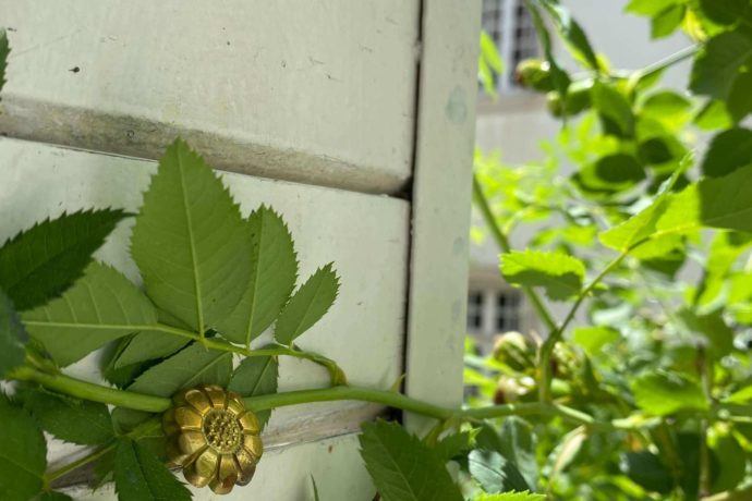 salle de bain sur cour