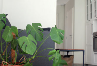 Le Gîte du Petit Pommier