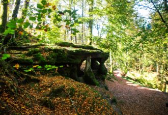 Le Loup Garou – 105R