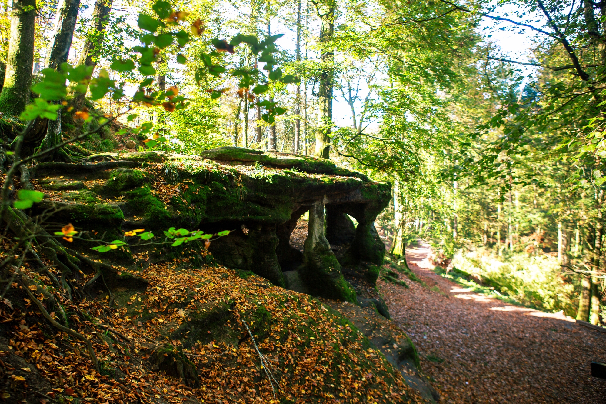 Le Loup Garou – 105R