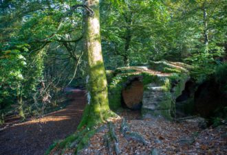 Les Racines – 109R