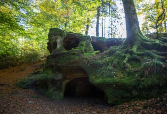 Les Racines – 109R