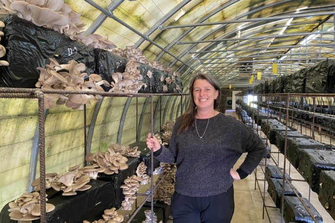 serres_ney_champignons_automne_2025_©CNJ (5)