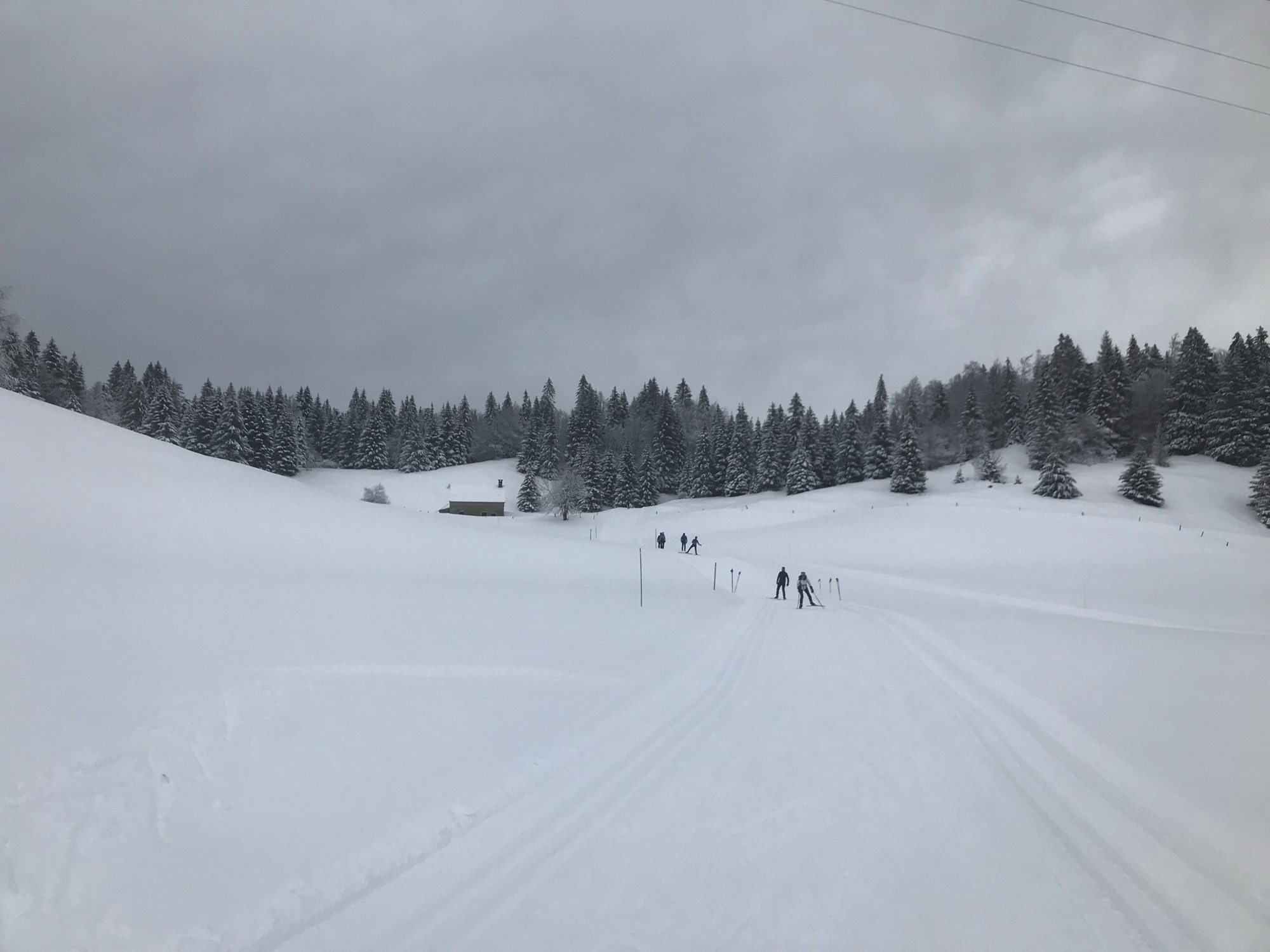 Les Tourbières