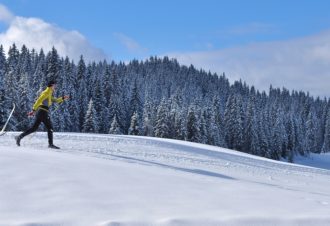 La Combe des Abeilles