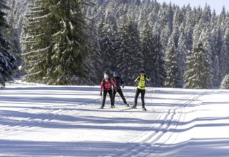La Combe aux Princes