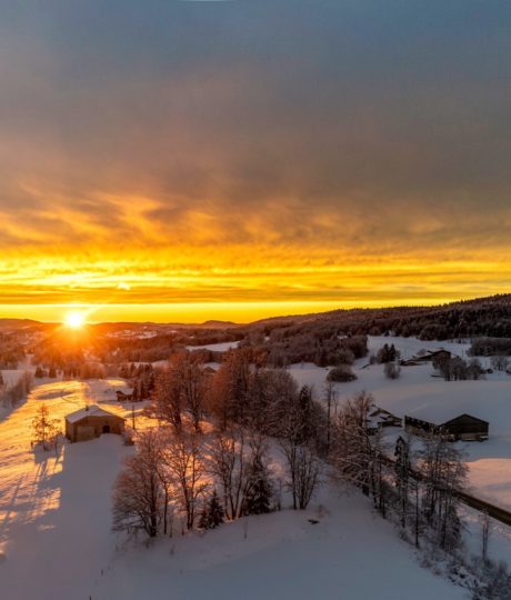 Sentiers Libres – Rémi Basmaji