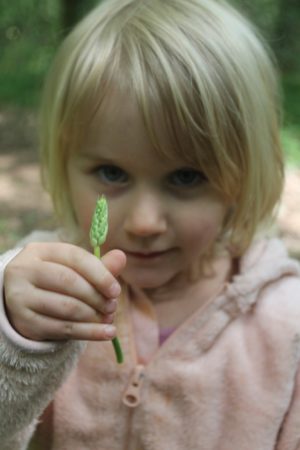sortie nature © Grégory Le Moing (3)