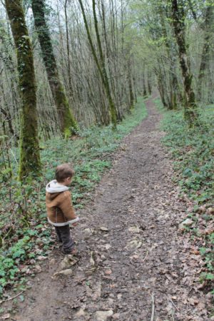sortie nature © Grégory Le Moing  (6)