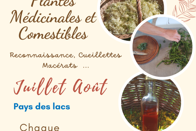 sorties et ateliers été – 1