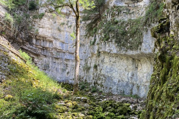 sourcedubiefdelaruine_foncinelehaut_ete_2023_©CNJ (8)