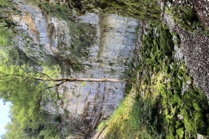 sourcedubiefdelaruine_foncinelehaut_ete_2023_©CNJ (8)