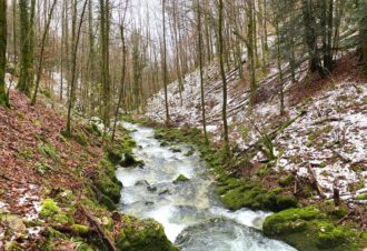 Source du Bief de la Ruine et Creux des Joyaux