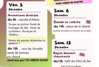 Animations du Téléthon