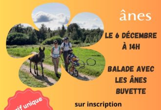 Téléthon avec les ânes