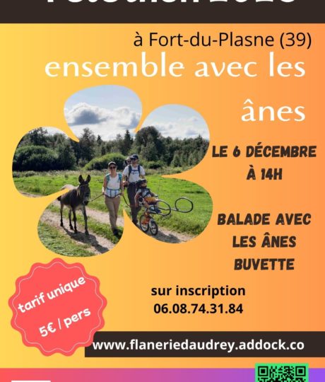 2127101Téléthon avec les ânes