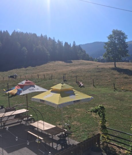 Bistrot du Chalet des Tuffes