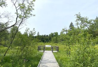 Tourbière de l’Entre Côtes du Milieu
